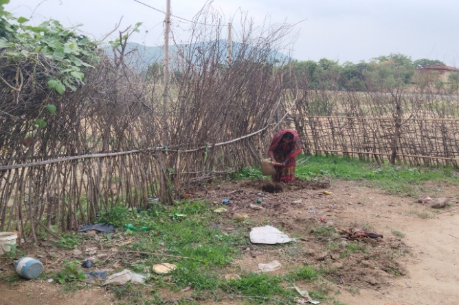 Muniya Devi works in her field